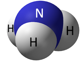 ammonia olm